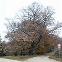Raichberg 2007 Bild 33
